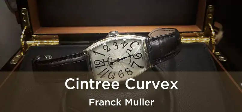  Cintree Curvex Franck Muller