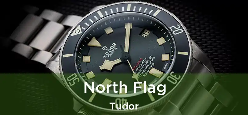  North Flag Tudor
