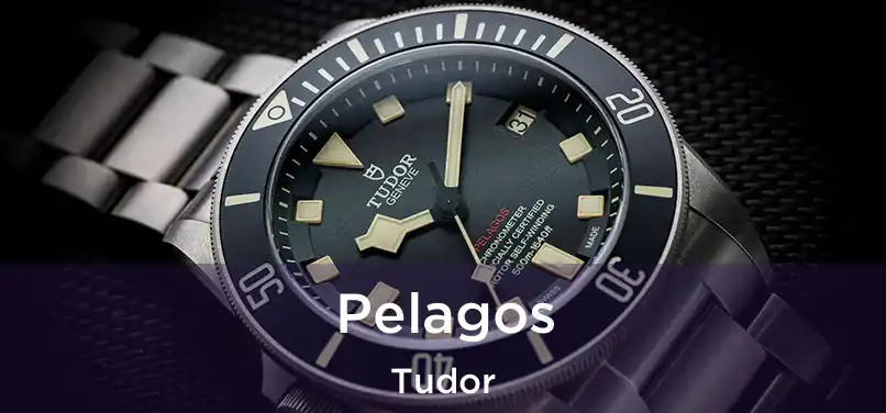  Pelagos Tudor