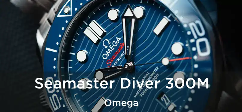  Seamaster Diver 300M Omega